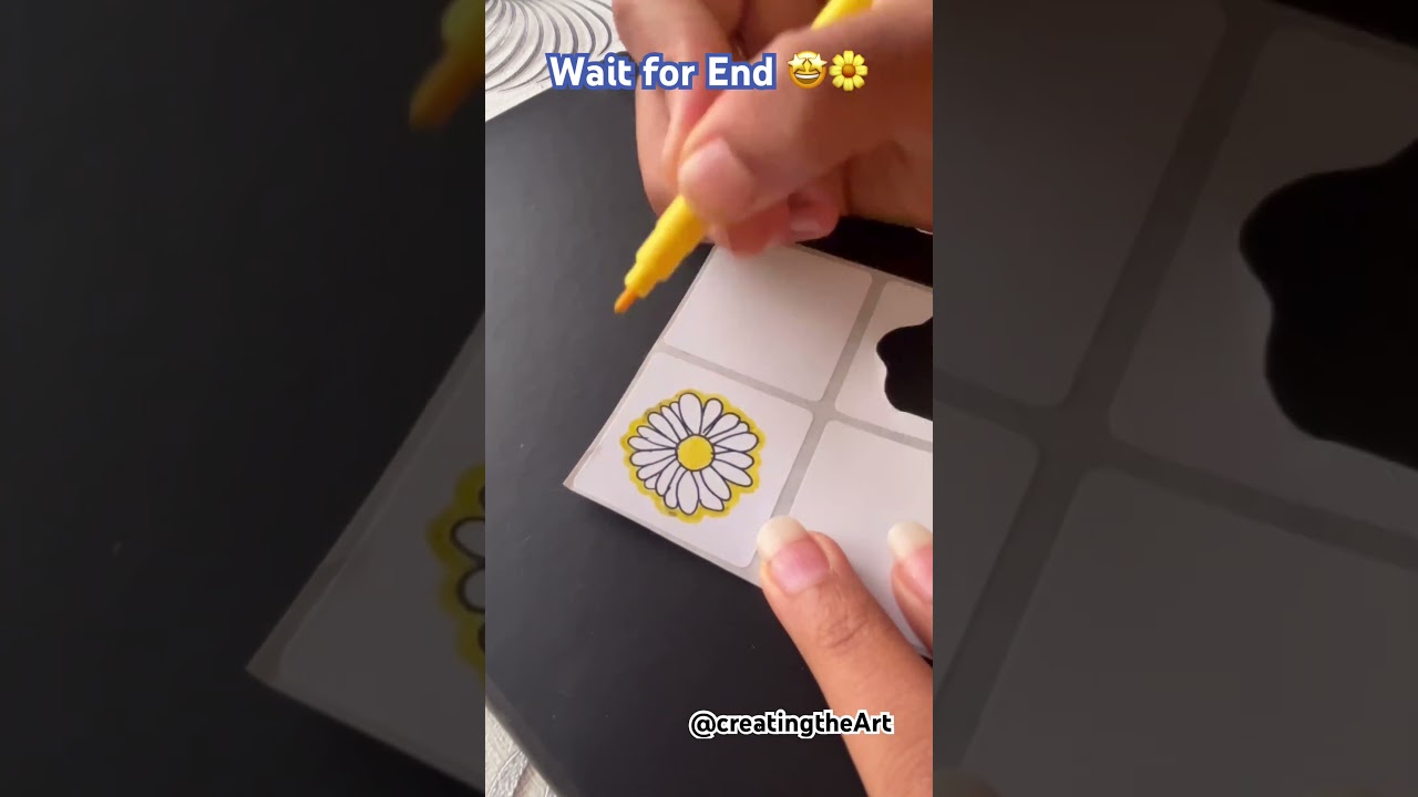 Daisy flower sticker 🌼🤩 