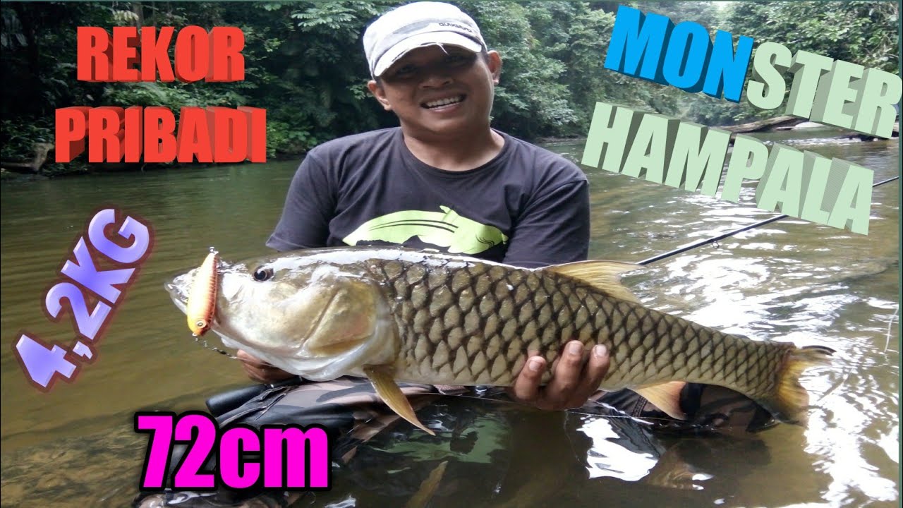 MANCING HAMPALA MONSTER || CASTING HAMPALA BABON DI SUNGAI ARUS DERAS  !!