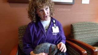 Meet Methodist's new pet therapy volunteers