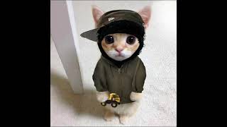 Yeteneksiz Popçu Gibi Kıçımı Retmem