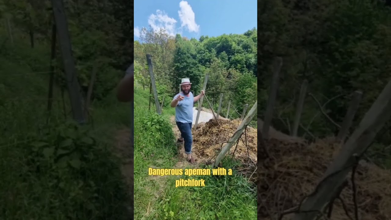 Dangerous Apeman With a Pitchfork  #gardening