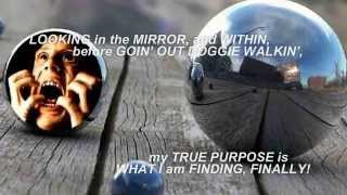 Doggie Walkin' Reflection!