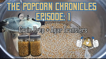 The Popcorn Chronicles Episode:1 | Grain Spawn Prep and Agar Transfers