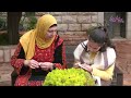فن التطريز الفلاحي يروي قصة حبّ فلسطين