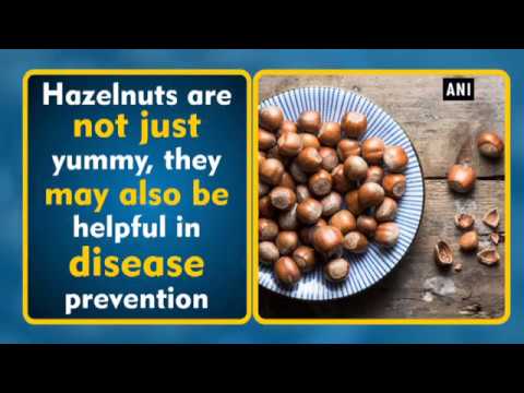 hazelnuts-are-not-just-yummy,-they-may-also-be-helpful-in-disease-prevention