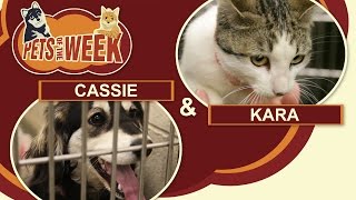 Pets of the Week S01 E01 Cassie & Kara
