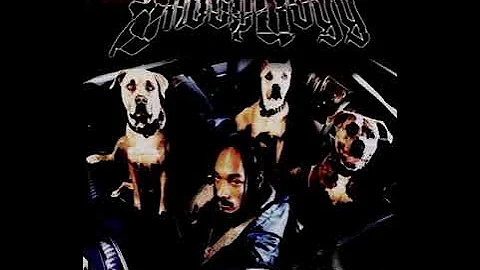 Snoop Dogg ft. Xzibit - B*tch Please | Instrumental Remake