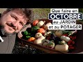 Ce que je fais en OCTOBRE au jardin et au potager