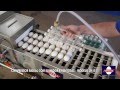 Yamasa ECB-35 - Classificadora com lavadora - 5400 ovos/hora