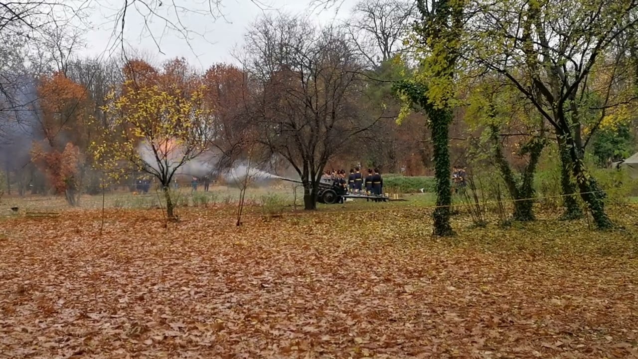 Salve de tun cu ocazia zilei Naționale a României - Gun salute