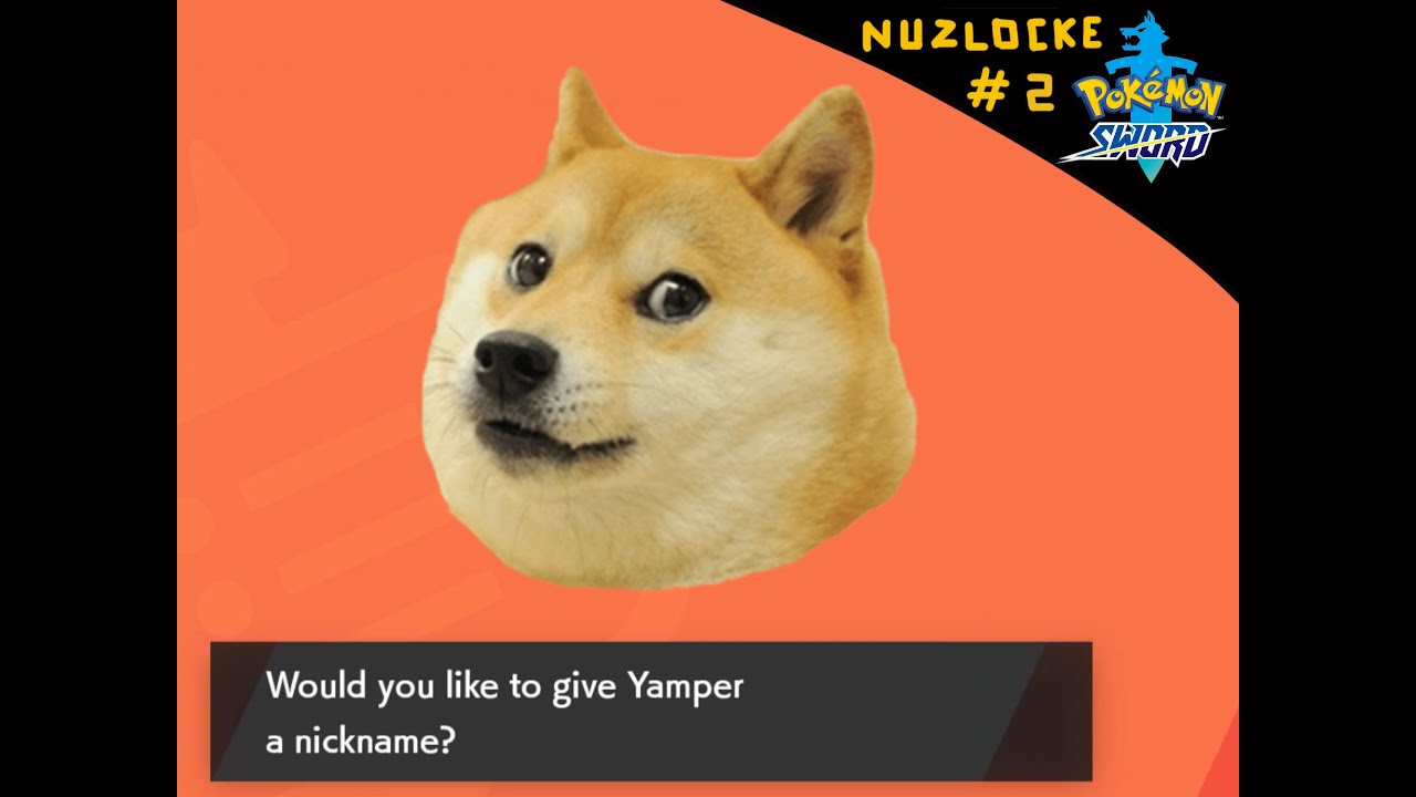 We Caught Doge Pokémon Sword Nuzlocke 2