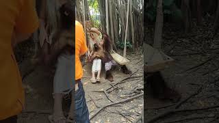 safari world monkey Thailand atrocity Tamil boy comment #safariworld #themepark