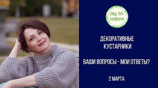 Декоративные кустарники. Вопрос - ответ