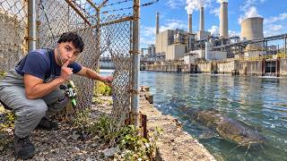 I Tested If Power Plants Actually Hold Monster Fish