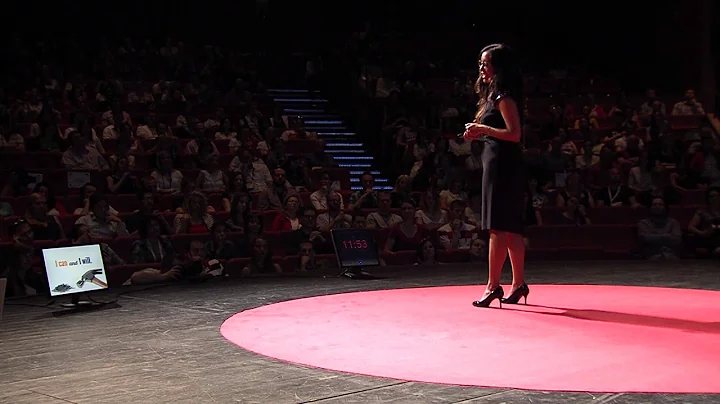 Tu puedes, tu debes -- a vision for school reform ...