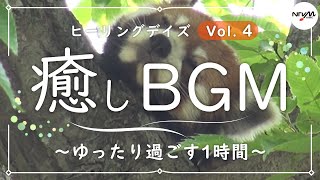 ヒーリングデイズ4】心と身体を癒すヒーリングミュージックをお届け