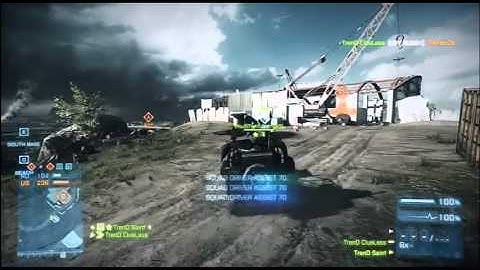 VDV BUGGY Professionals