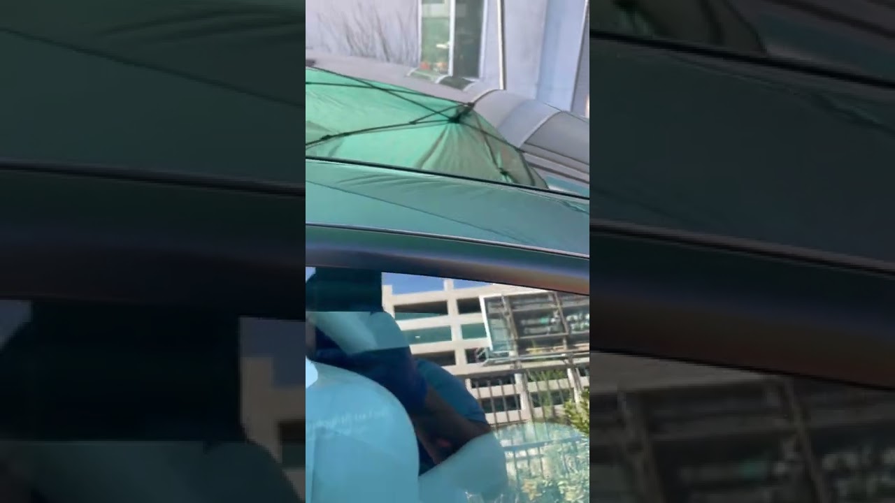 How to remove bugs from Tesla