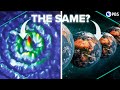 Are Many Worlds &amp; Pilot Wave THE SAME Theory?