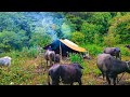 This is Mountain Village life|| Ep-14| Most Peaceful and Relaxing Natural Mountain Village life