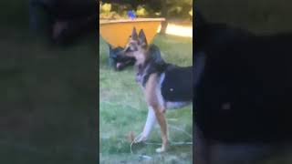 Ooga Chaka