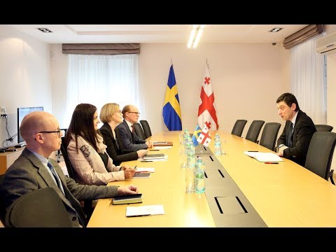 შინაგან საქმეთა მინისტრი გიორგი გახარია შვედეთის ელჩს შეხვდა