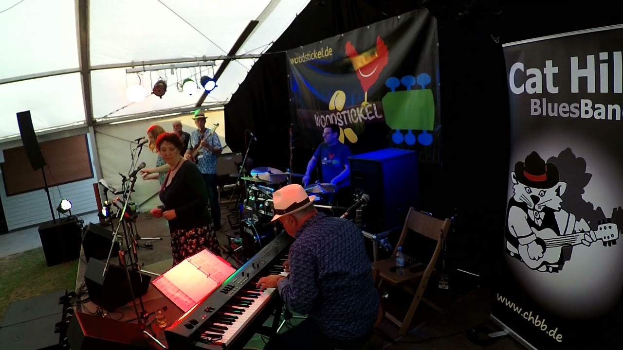 Cat Hill BluesBand - Inner City Blues (Cover)