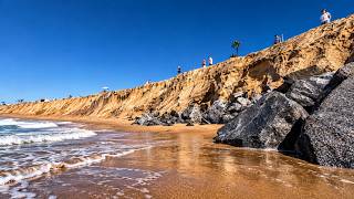 The Race to Save The Wedge