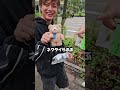 名古屋のマーシーに初めて会いました！#shorts #ピカチュウ会長