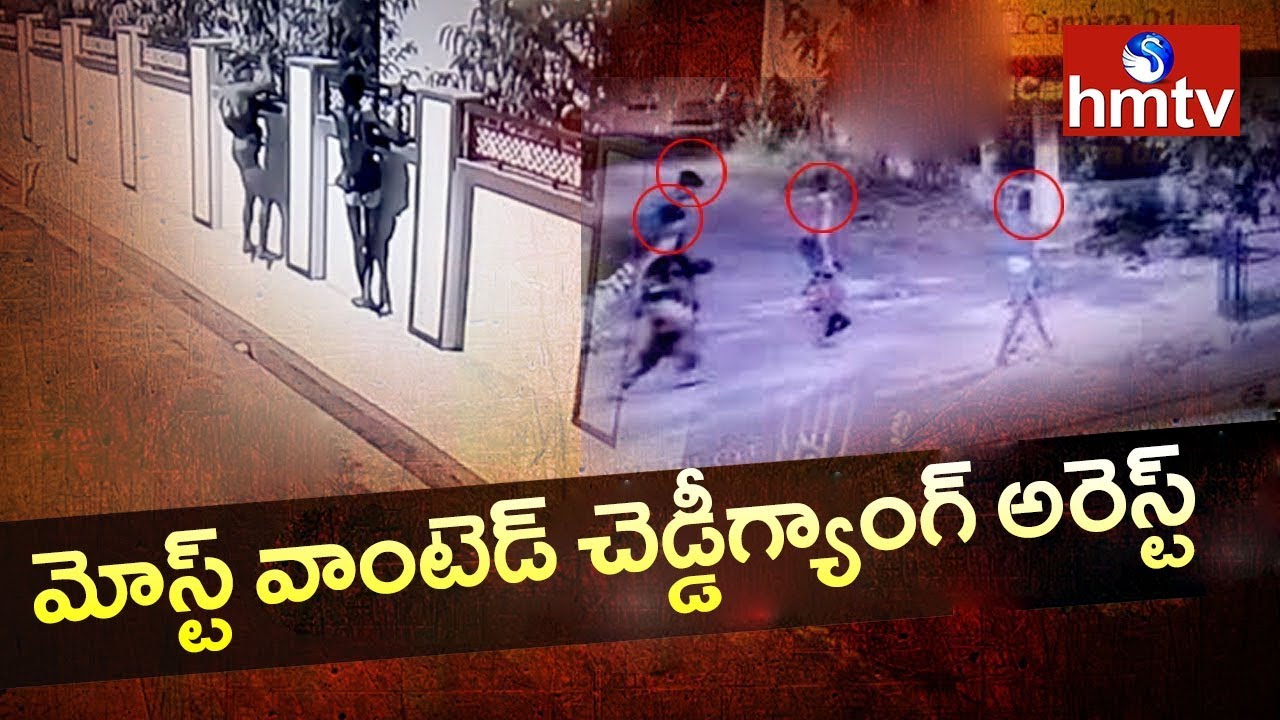 Most Wanted Cheddi Gang Arrested by Visakha Police | hmtv