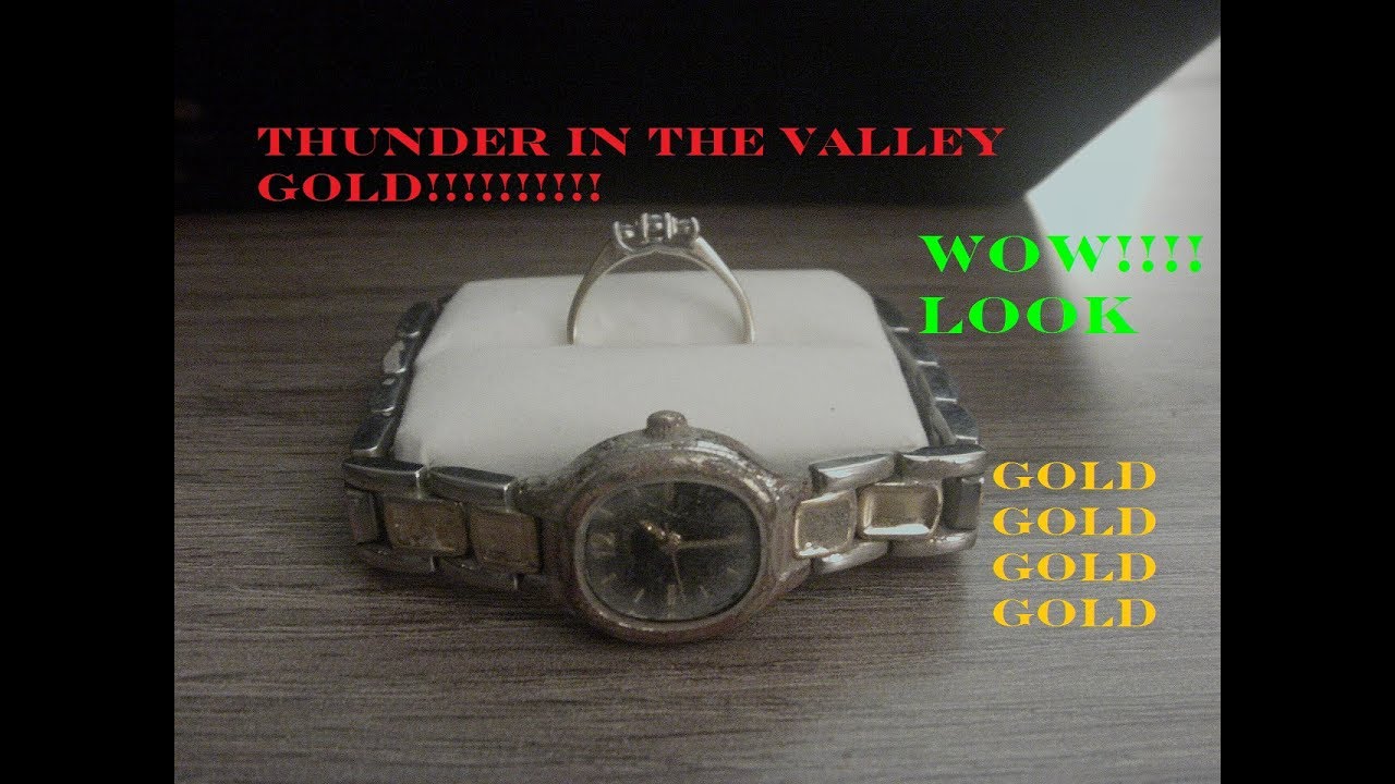 JOHNSTOWN PA THUNDER IN THE VALLEY GREENHOUSE PARK GOLD GOLD GOLD