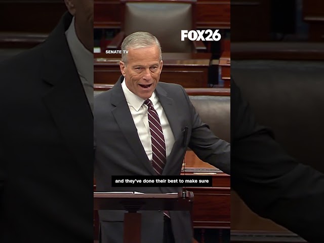 Ben Ray - Allerwelts-Boarische