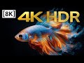 🔴 LIVE: Beautiful Coral Reef &amp; Colorful Fish 🐠 Relaxing Deep Ocean Ambient Music