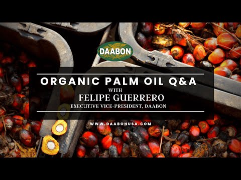 Organic palm oil Q&A with Felipe Guerrero - Executive Vice-President, Daabon