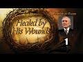 Francois du Plessis - From Birth To Baptism - Healed By His Wounds (Part 1)