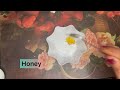 Just 5minits मैं पाएं बच्चों के जैसी कोमल skin…💐