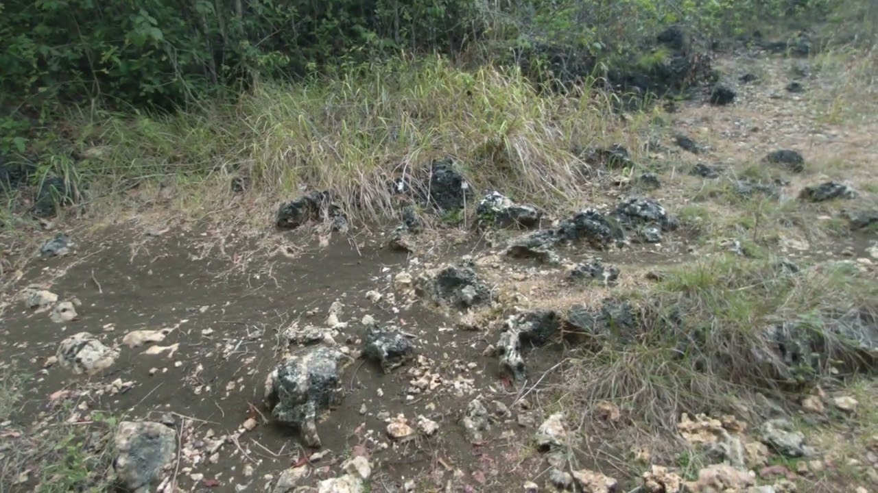 Lataban Hills, Lilo-an