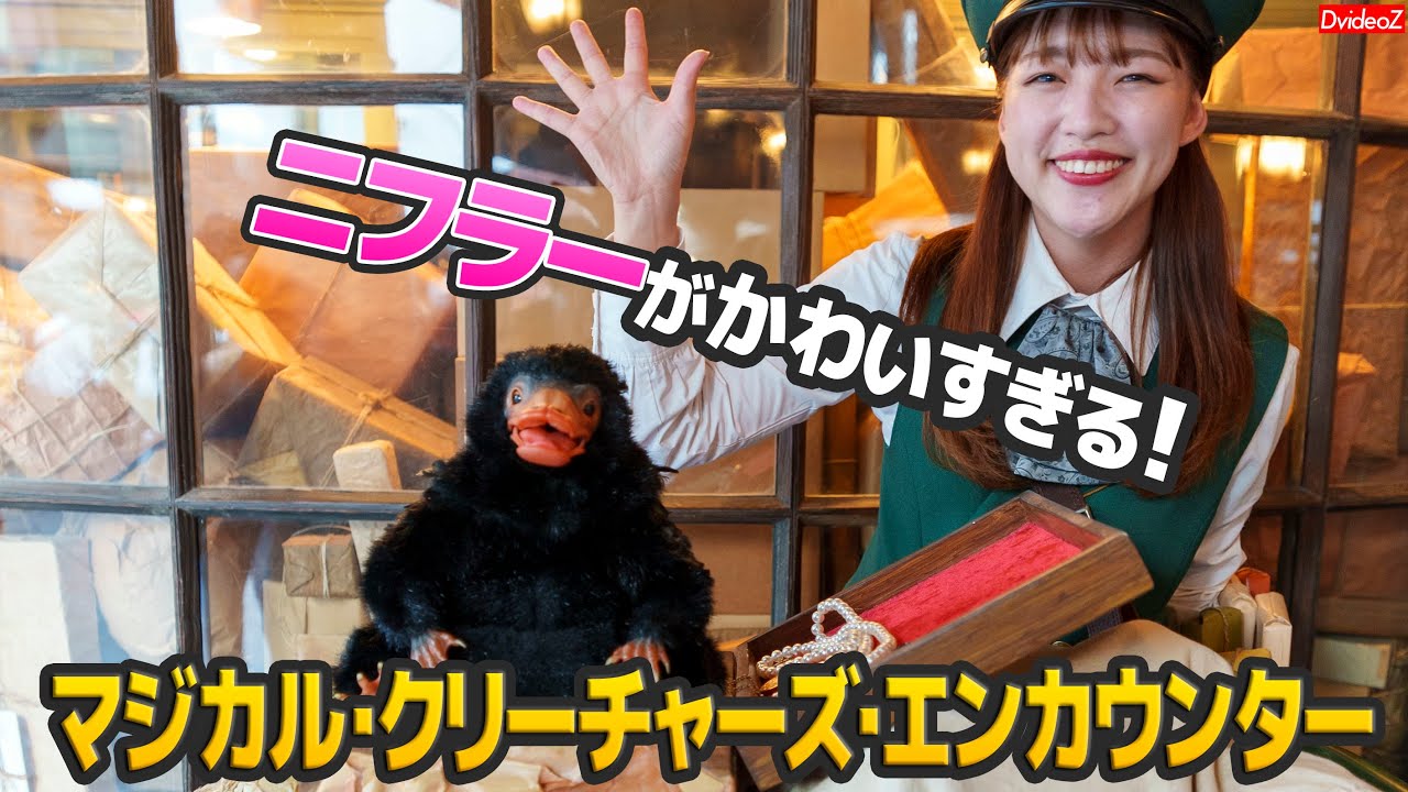 ハリーポッター マジカル・クリーチャーズ・エンカウンター～魔法生物との出会い・ニフラー