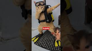 Gon Scuba. #cat #catcommunity #catshorts