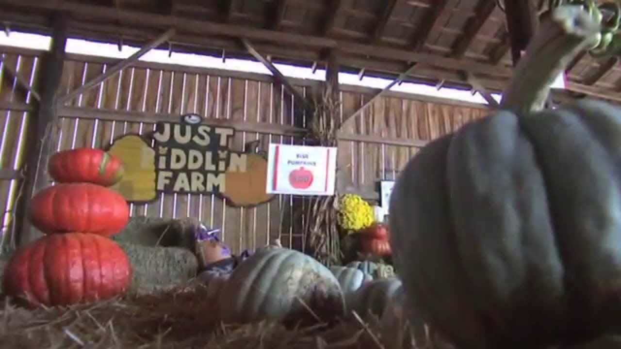 Kentucky Farm Bureau's Bluegrass & Backroads Just Piddlin Farm YouTube