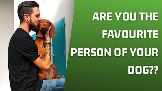 Are You The Favorite Person Of Your Dog?? by Animals Planet 67 views 2 years ago 6 minutes, 36 seconds