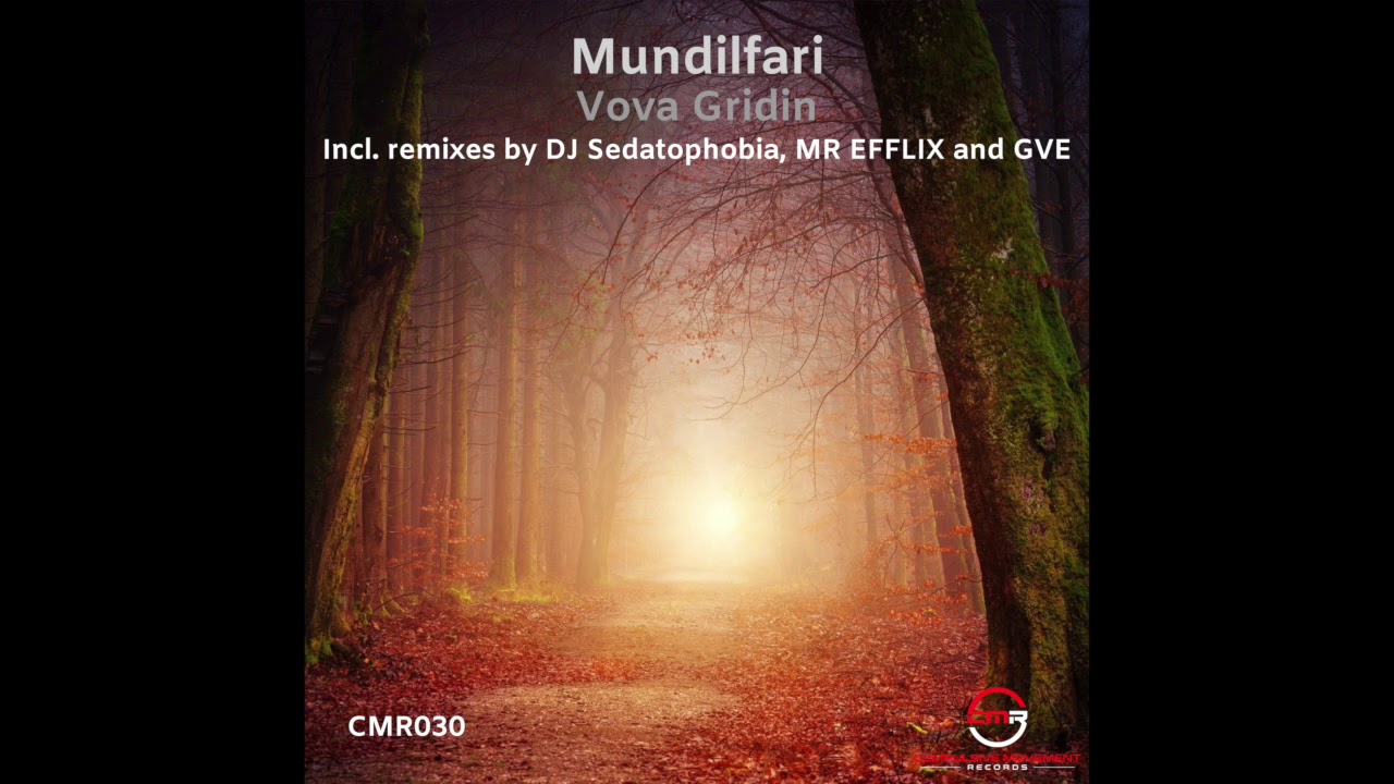 Vova Gridin - Mundilfari (MR EFFLIX Remix)