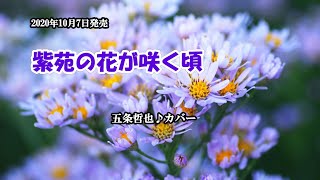 『紫苑の花が咲く』五条哲也　カバー　2020年10月7日発売