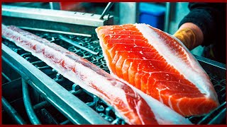 The Process of Farming Millions of SALMON | Food Industry Process