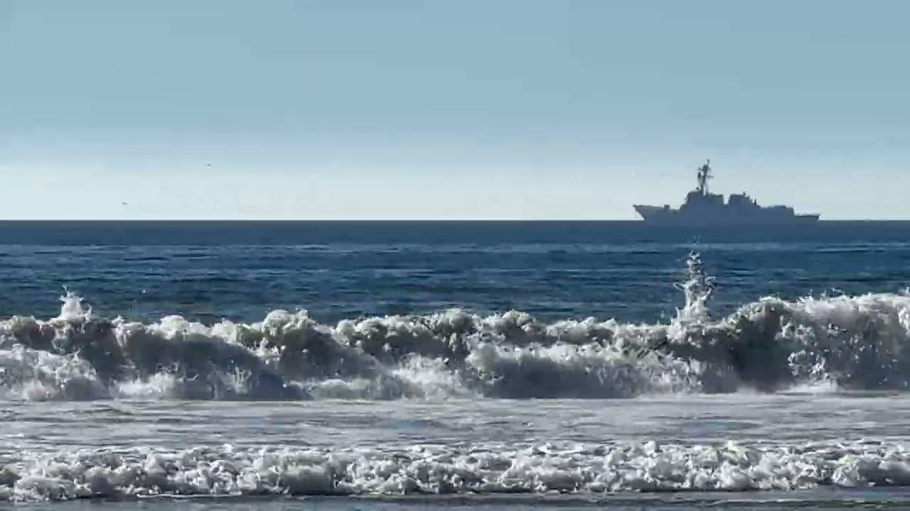 Dolphins in San Diego, CA