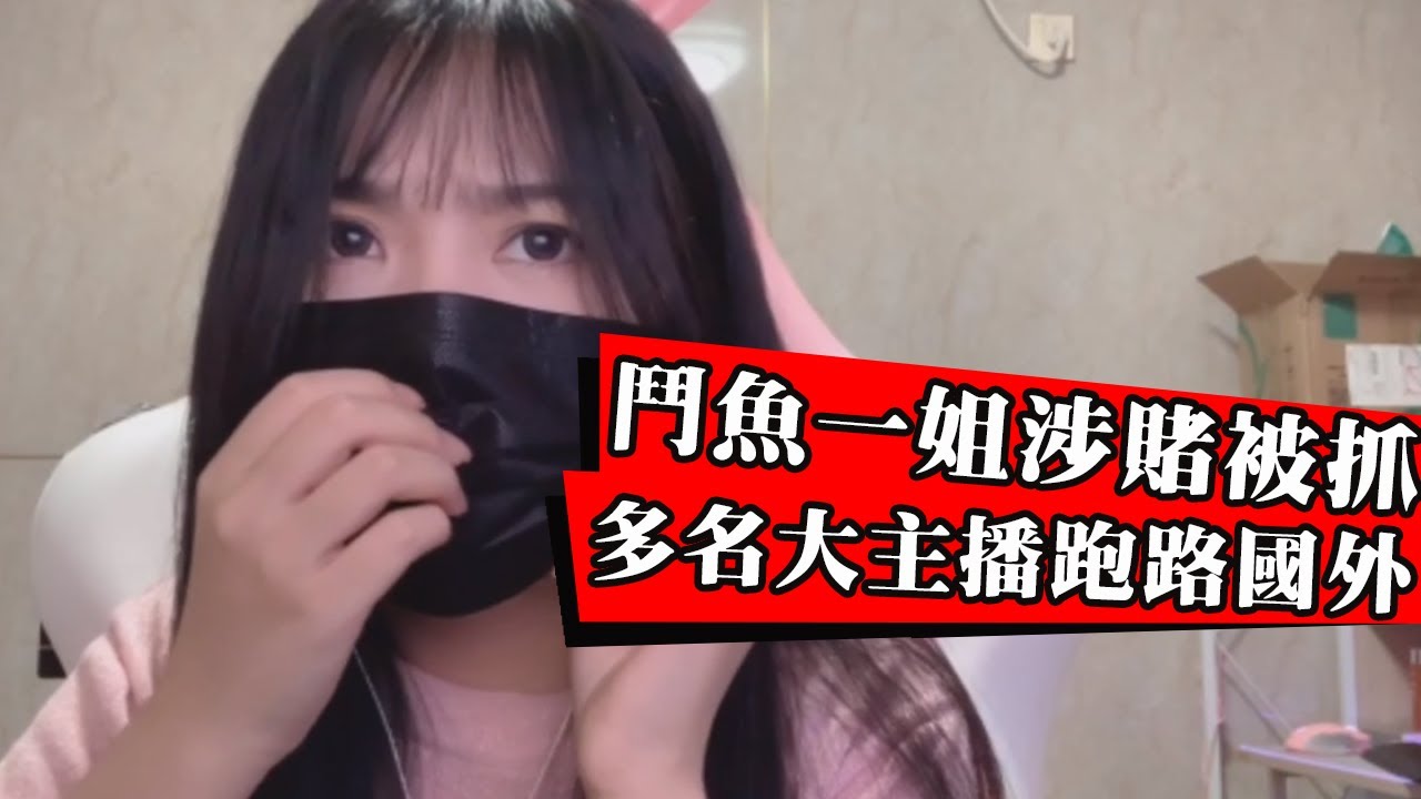 一條小團團確認被捕！PDD跑路日本不敢回國？被罰千萬還要吃牢飯！鬥魚抽獎涉賭有多嚴重？