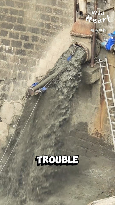 Silt Crisis: Clearing the Chaos