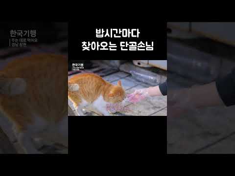 밖에서 소리가 들리자 회 들고 나가는 사장님 #shorts