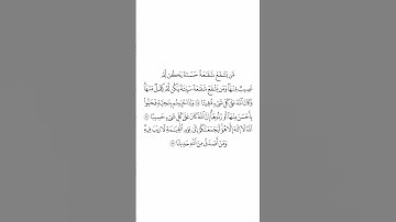 صلاة التراويح ليلة ٦ رمضان ١٤٤٥هـ سورة النساء الآيات من ٨٥ إلى ٨٧ الشيخ صلاح البدير
