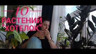 список "хотелок". 10 растений, который я хочу приобрести в ближайшее время.